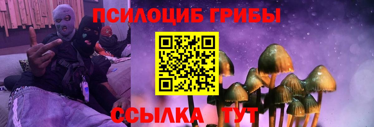 Псилоцибиновые грибы мухоморы Нурлат